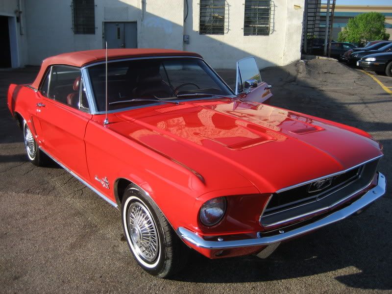 Mustang04.jpg