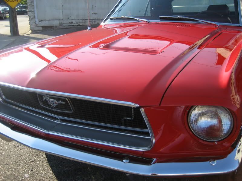 Mustang05.jpg