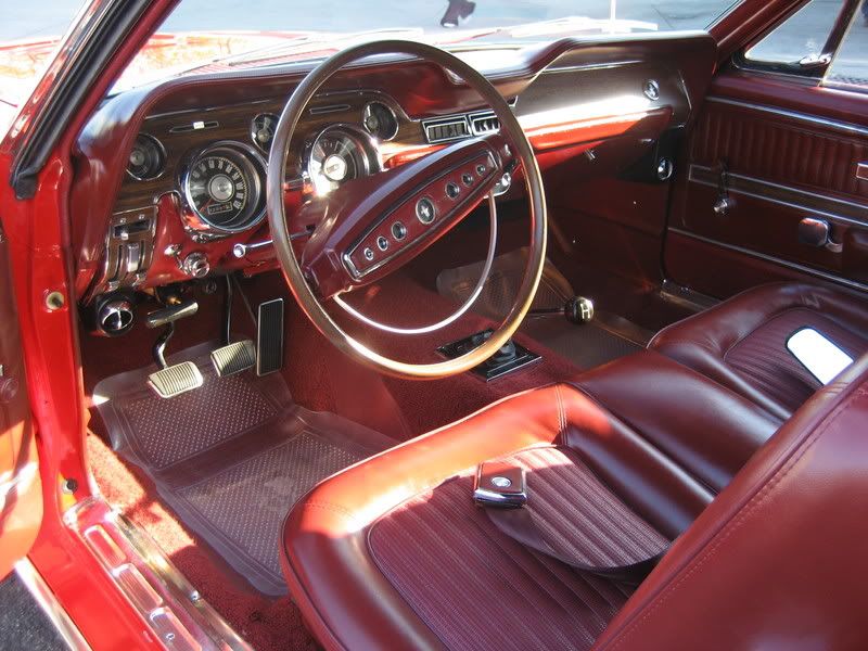 Mustang06.jpg
