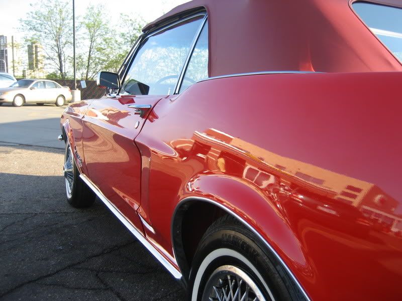Mustang08.jpg