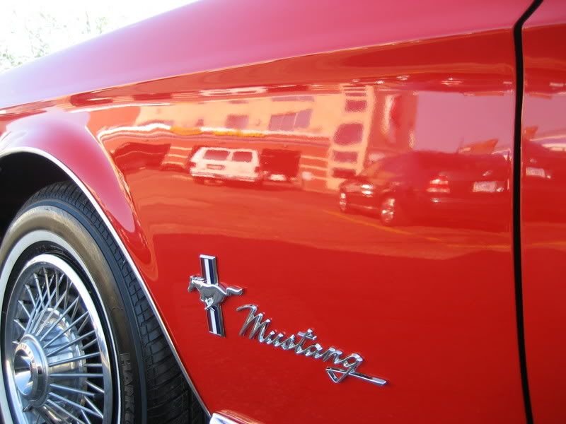 Mustang12.jpg