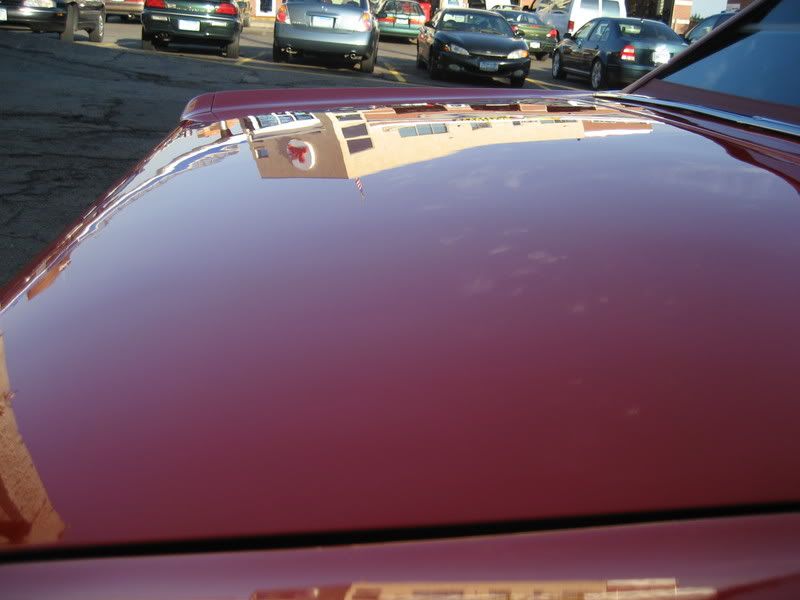Mustang13.jpg