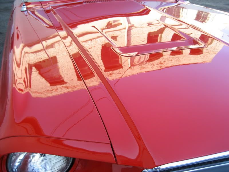 Mustang14.jpg