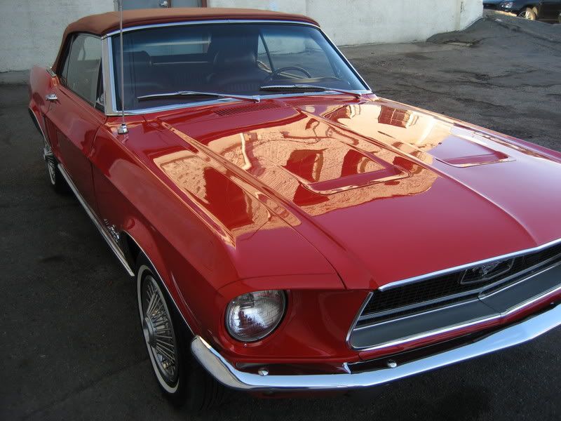 Mustang15.jpg