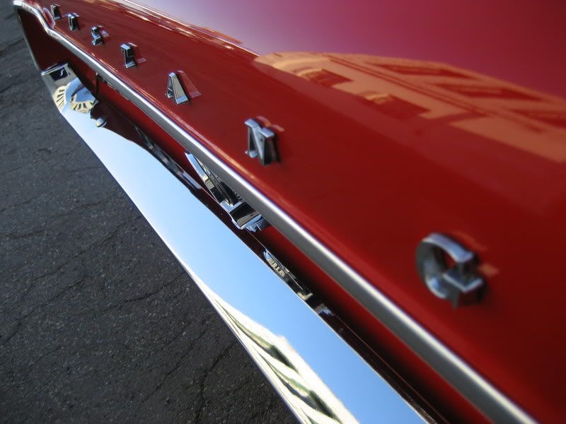 Mustang18.jpg