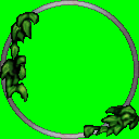 duke.png