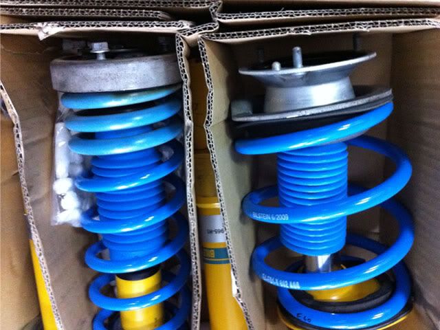 bilstein3.jpg