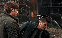 tumblr_mg2ruqiDO01rt90fho4_250_zpsb9d6c5a6.gif