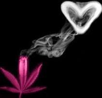 Pink Weed Love Pictures, Images and Photos