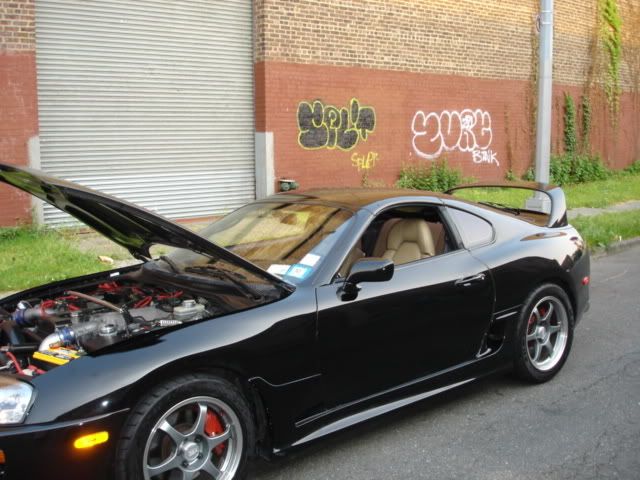 Picture017.jpg