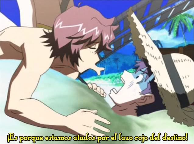 Imagen enviada
