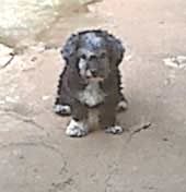 Image hosted by Photobucket.com