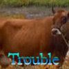 anneofgreengables8-1.jpg