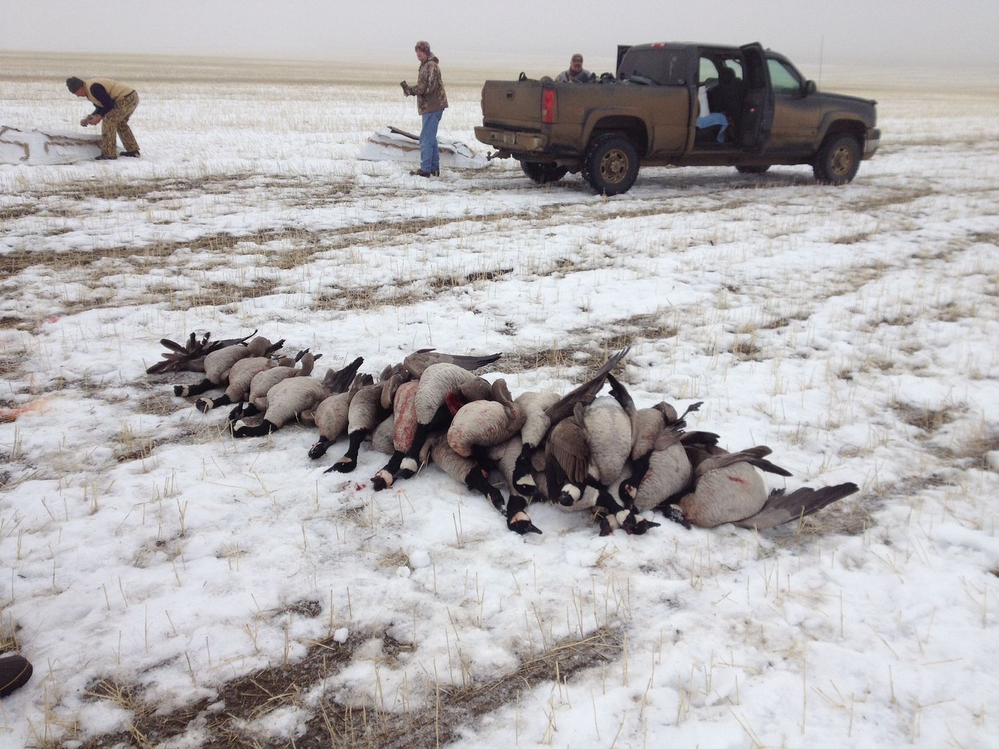 WINTER WATERFOWL PHOTOS Montana Duck Hunting