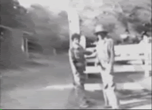 ae79lh.gif