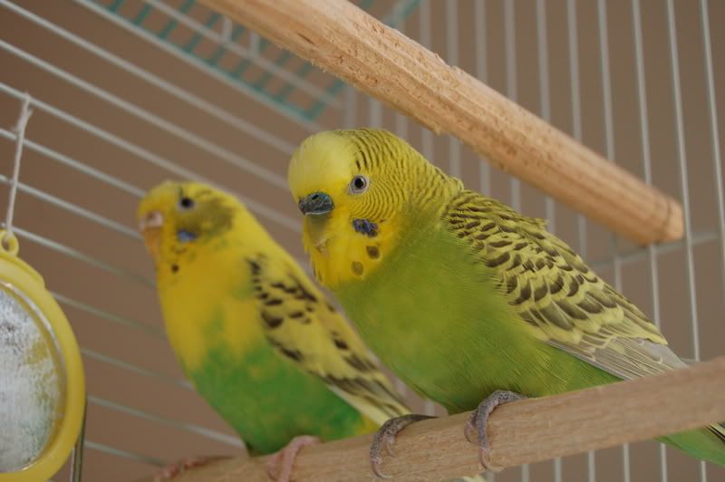 DSC_0263.jpg