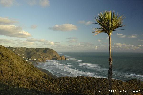 Piha-Beach-lo.jpg