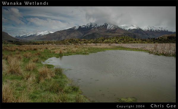 Wanaka-Wetlandslo.jpg