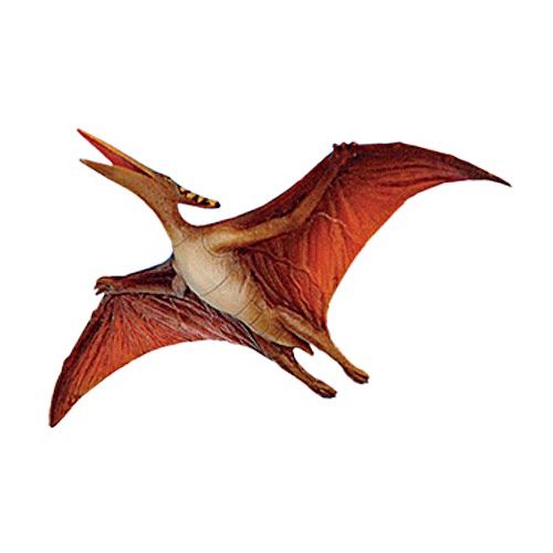 http://img.photobucket.com/albums/v128/cpk_angelwings/pteranodon-dinosaur.jpg