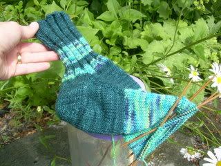 koigu sox