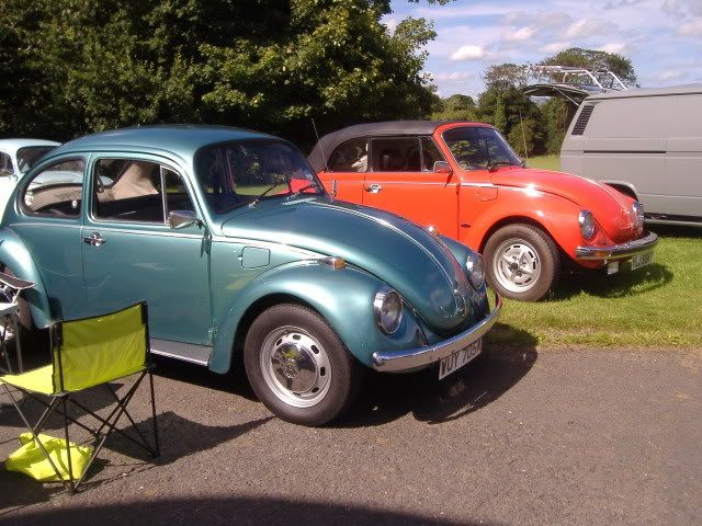 cultra12010.jpg