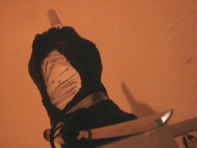 Image hosting by Photobucket