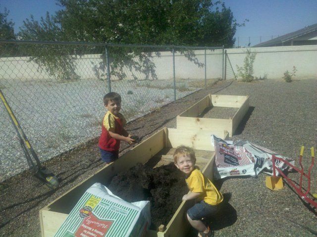 Ideas for raised beds? - Homesteading Questions