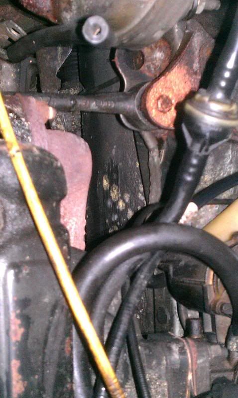 IMAG2633_zps2a4f52d1.jpg