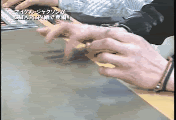 2i1ytxt.gif
