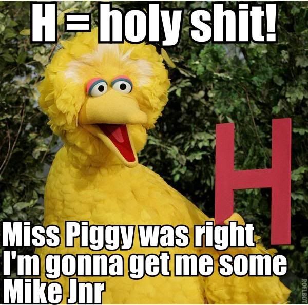 BigBird.jpg