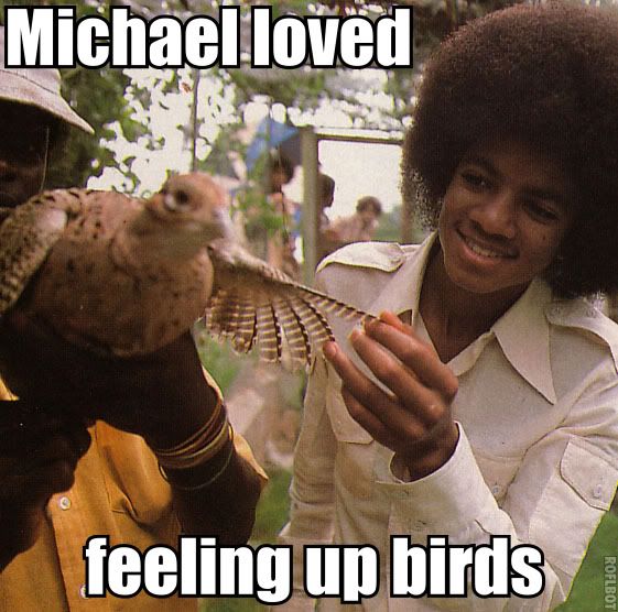 Birds3.jpg