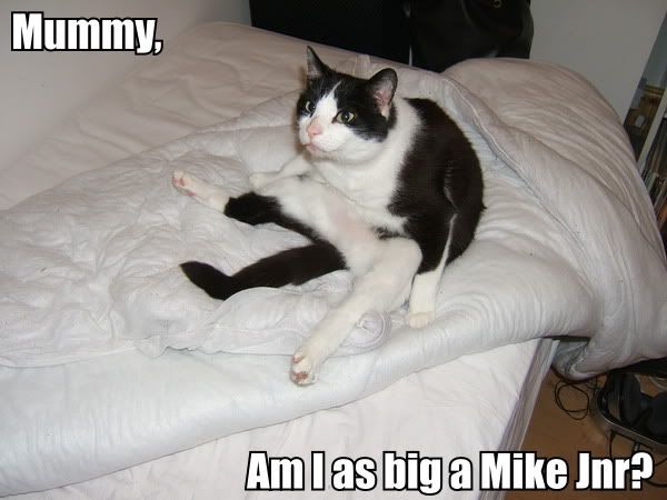 Smudge.jpg