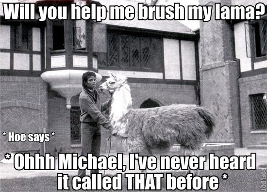 Lama.jpg