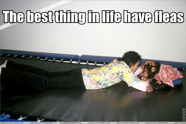 Fleas.jpg