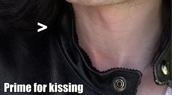 Necksnog.jpg