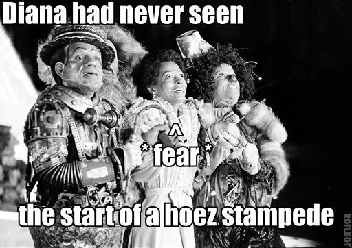 Stampede-1.jpg