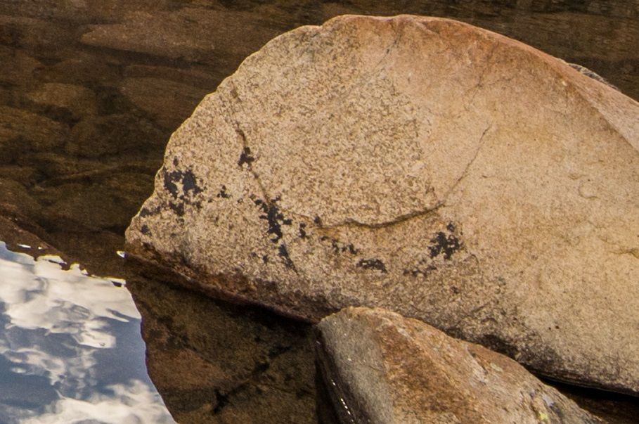 IMAGE: http://img.photobucket.com/albums/v129/soybomb/100crop1.jpg