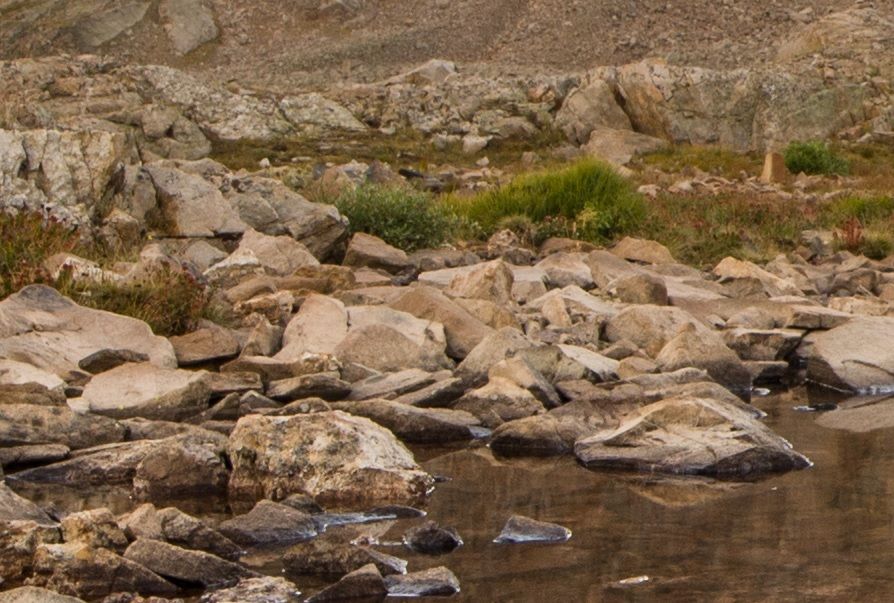 IMAGE: http://img.photobucket.com/albums/v129/soybomb/100crop2.jpg