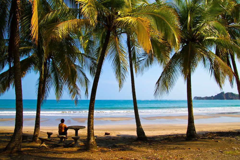 IMAGE: http://img.photobucket.com/albums/v129/soybomb/CR2.jpg