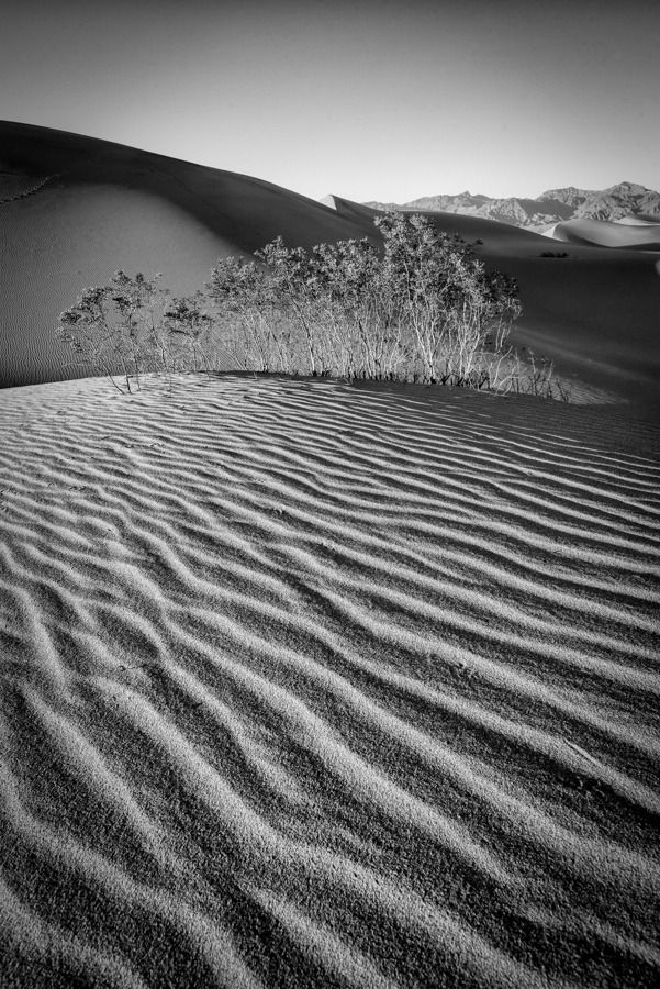 IMAGE: http://img.photobucket.com/albums/v129/soybomb/DSC_0323_BW-3.jpg