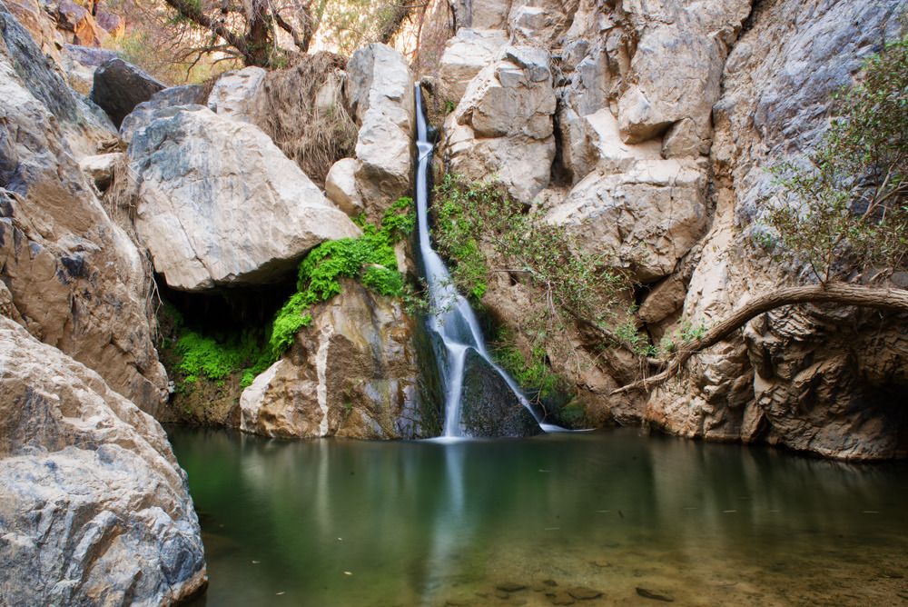 IMAGE: http://img.photobucket.com/albums/v129/soybomb/DSC_0661_1000.jpg