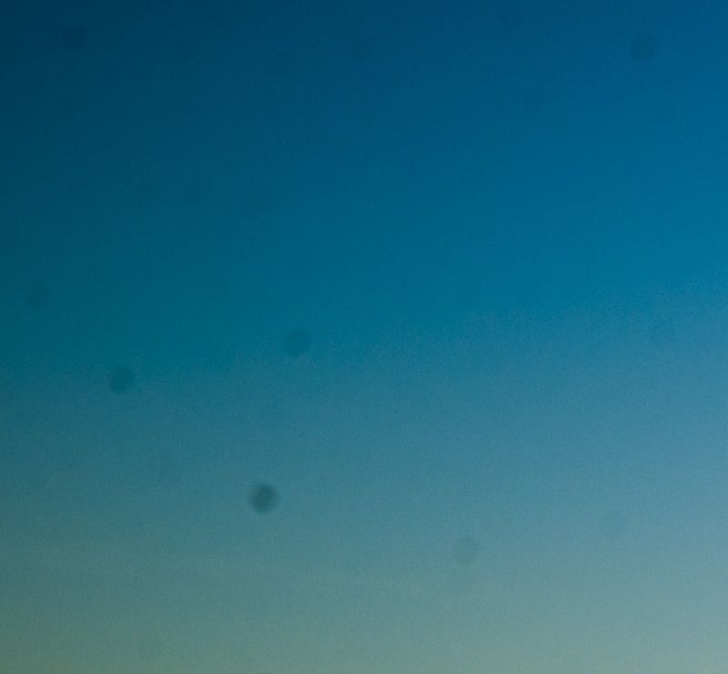 IMAGE: http://img.photobucket.com/albums/v129/soybomb/DSC_0701.jpg