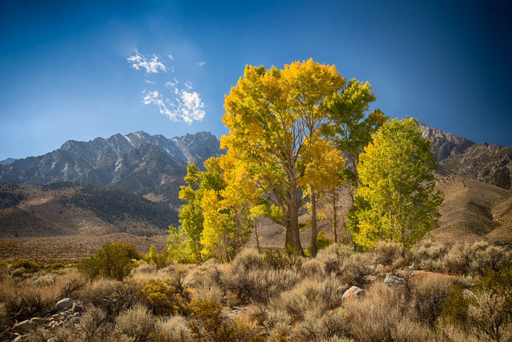 IMAGE: http://img.photobucket.com/albums/v129/soybomb/DSC_0718_1000.jpg