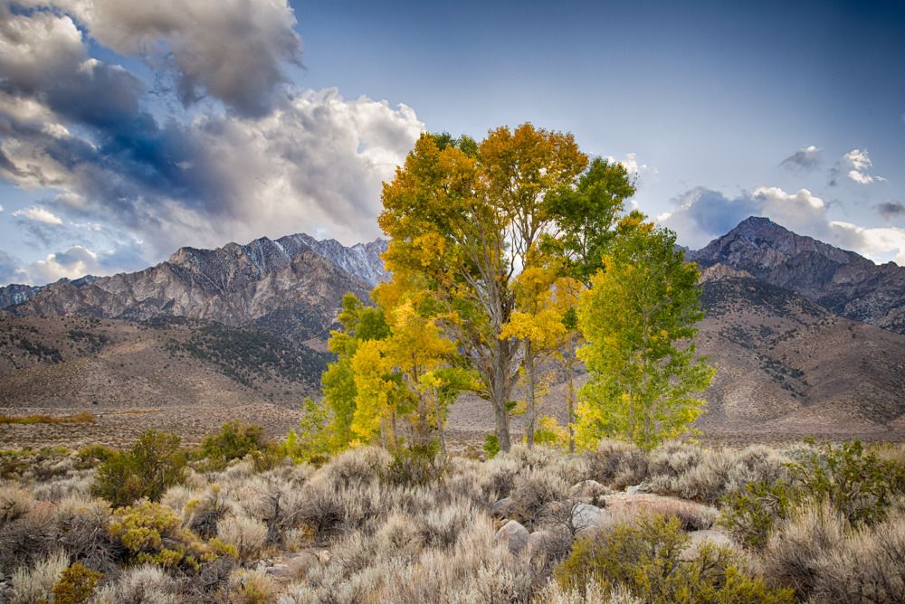 IMAGE: http://img.photobucket.com/albums/v129/soybomb/DSC_0809_HDR.jpg