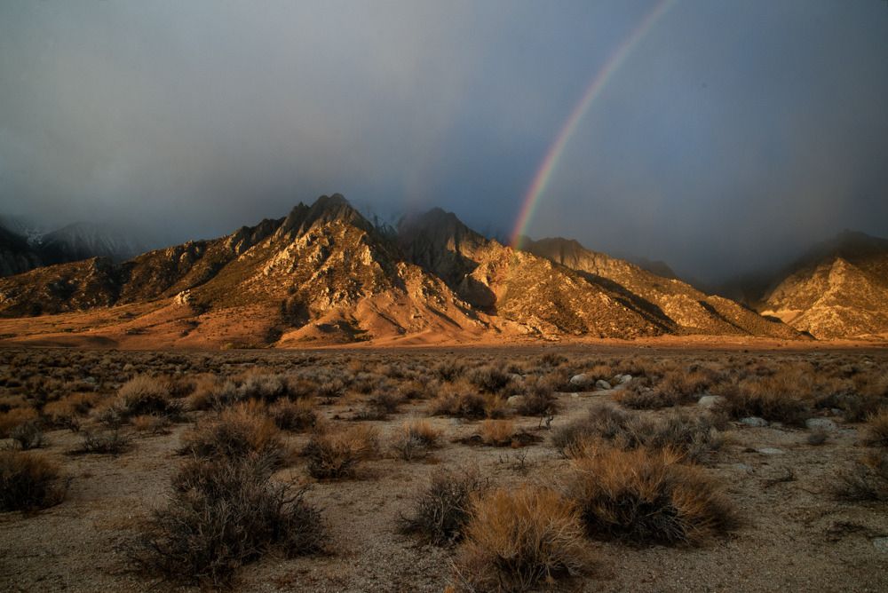 IMAGE: http://img.photobucket.com/albums/v129/soybomb/DSC_0887-Edit-2.jpg