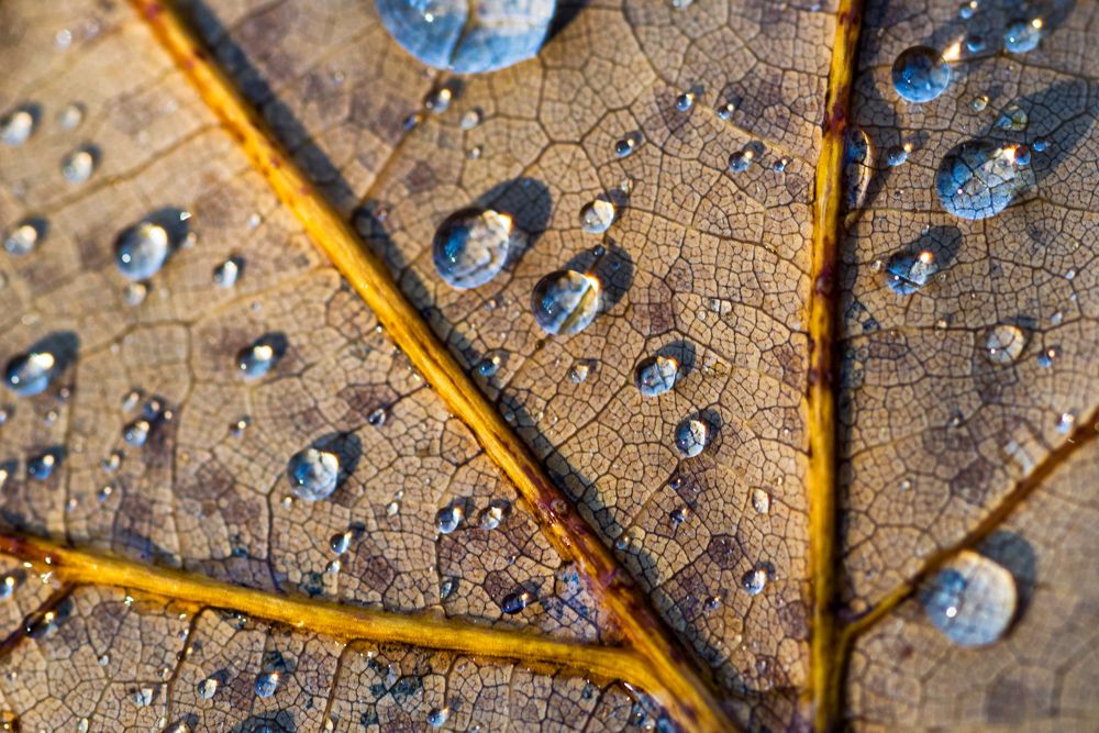 IMAGE: http://img.photobucket.com/albums/v129/soybomb/DSC_1170-Edit-2.jpg