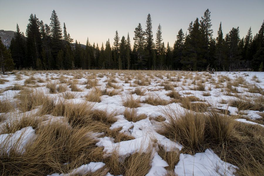 IMAGE: http://img.photobucket.com/albums/v129/soybomb/DSC_1693-2_zps45aa5386.jpg