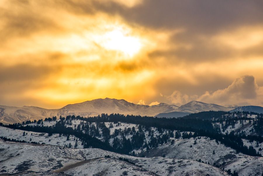 IMAGE: http://img.photobucket.com/albums/v129/soybomb/DSC_1795_500px.jpg