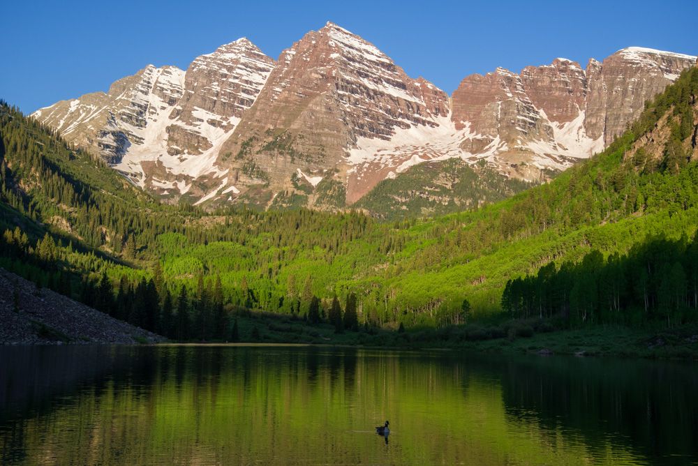 IMAGE: http://img.photobucket.com/albums/v129/soybomb/DSC_3357-Edit2.jpg