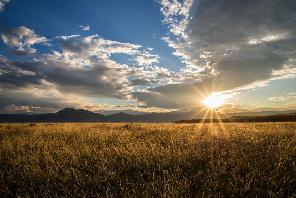 IMAGE: http://img.photobucket.com/albums/v129/soybomb/DSC_4257-Edit.jpg